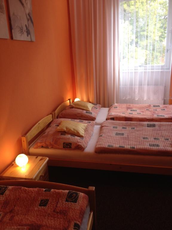 Hotel Pod Strazi Lhenice Kamer foto